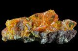 Bright Orange Wulfenite Crystal Cluster - Rowley Mine, AZ #49325-1